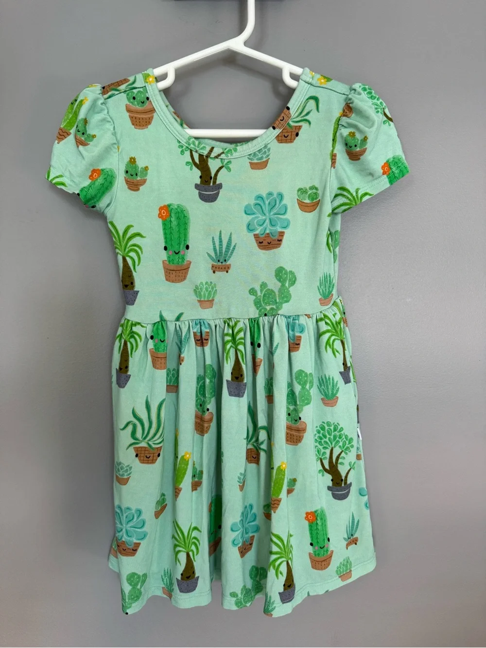 Little Sleepies Cactus dress with pockets - 2T